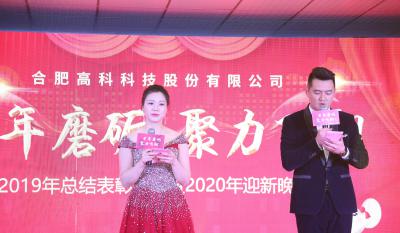 十年磨砺，，，聚力飞翔——合肥老子有钱lzyq882020年会特殊报道